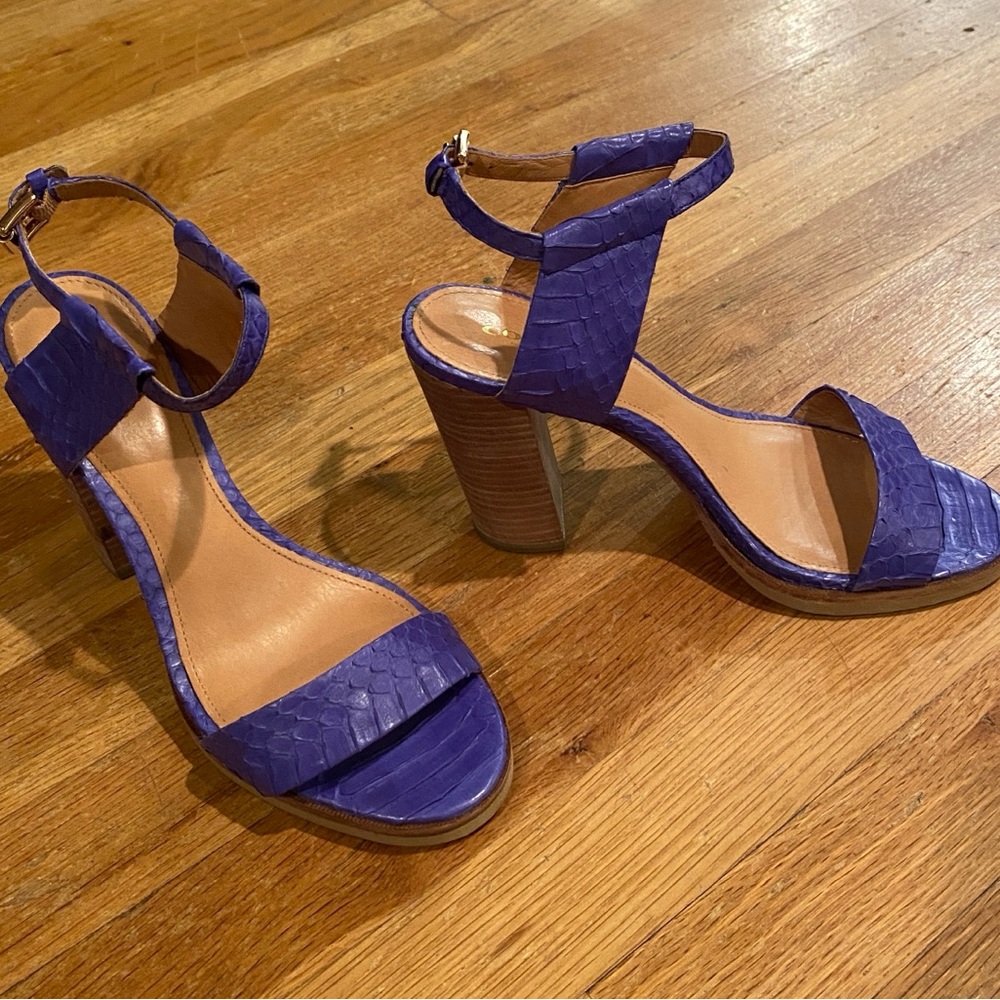 Coach Lexey Snakeskin Open Toe Chunky Heeled Sandals